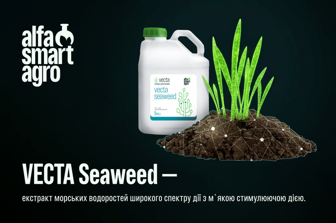 Біостимулятор VECTA Seaweed, фото